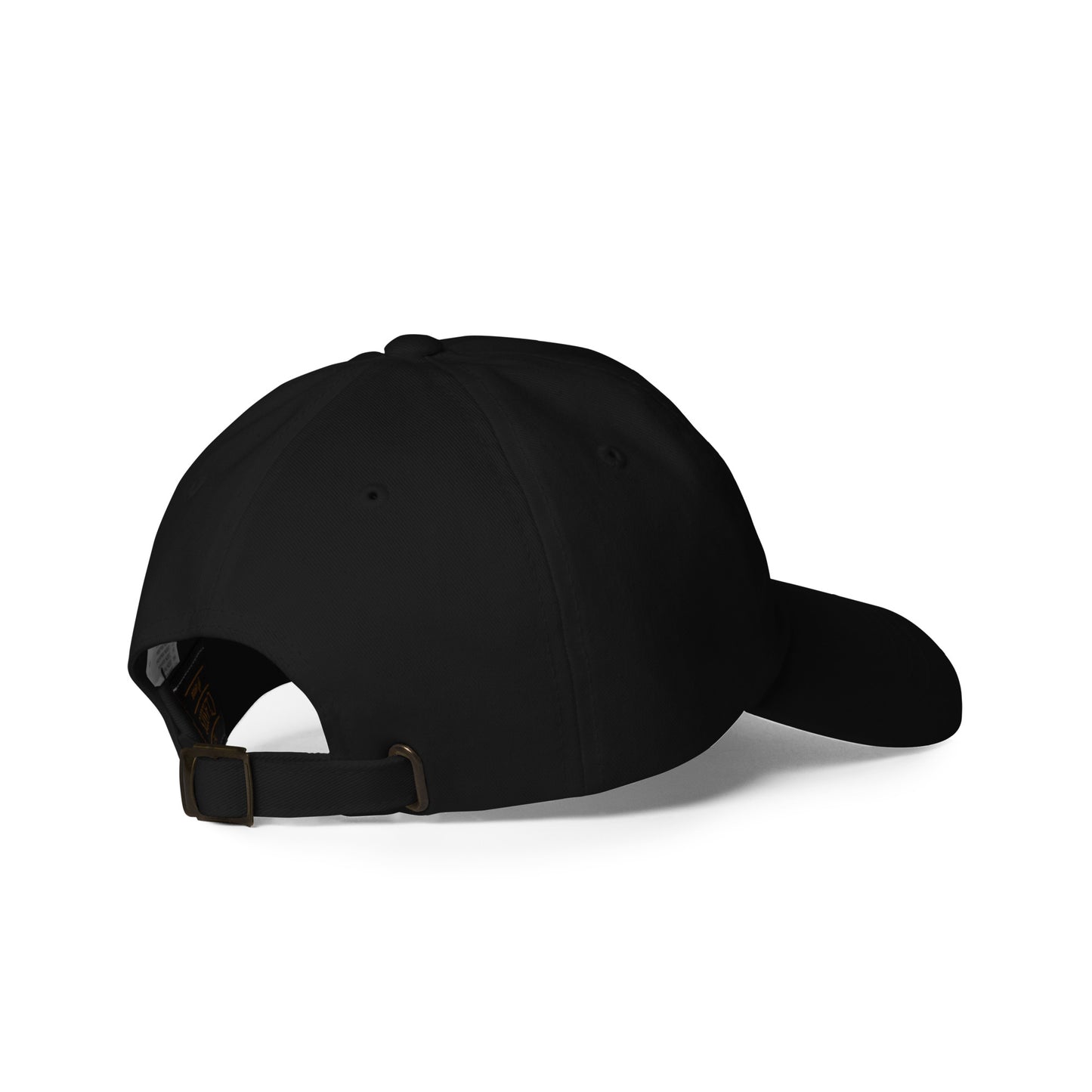 Curved Brim Embroidered Hat