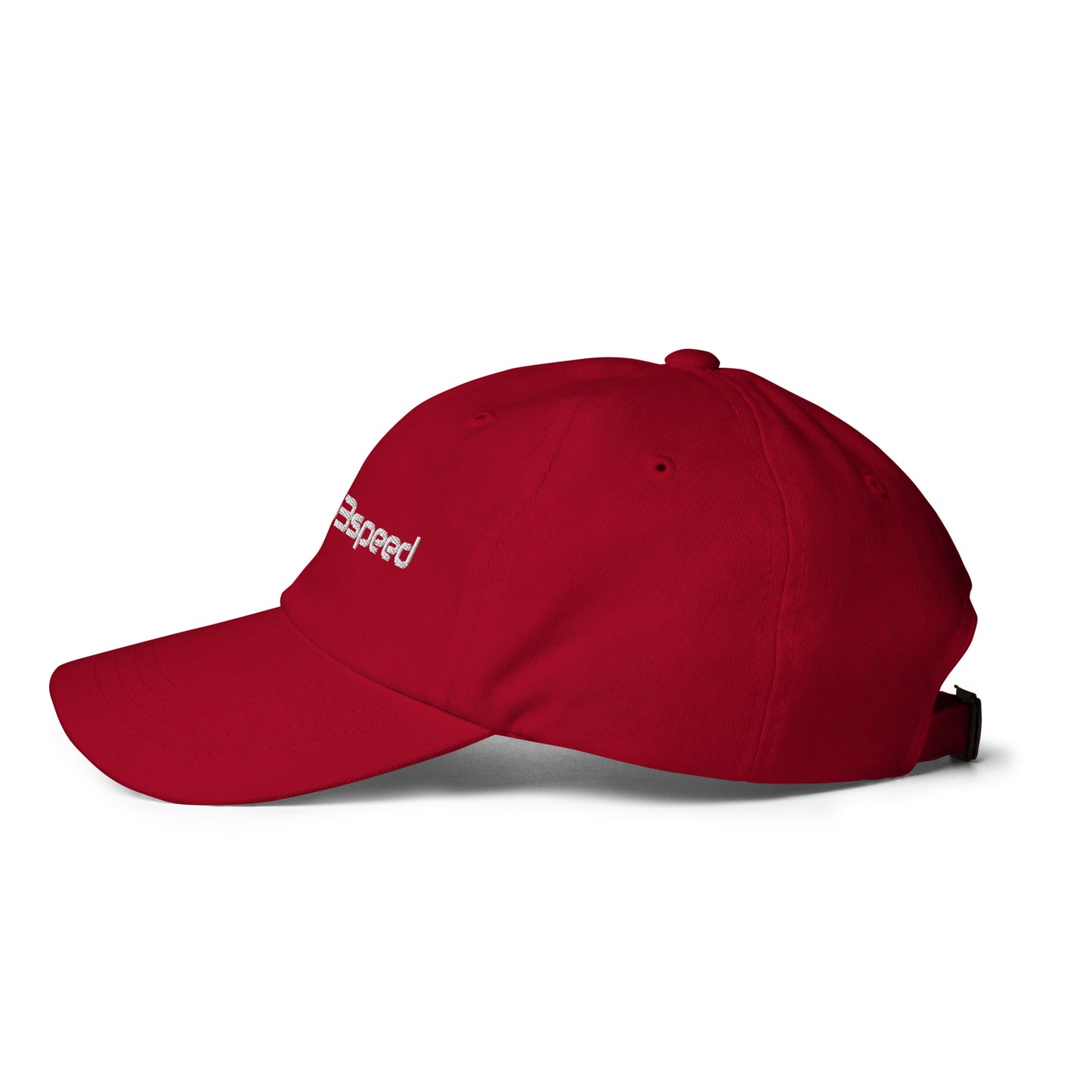Curved Brim Embroidered Hat