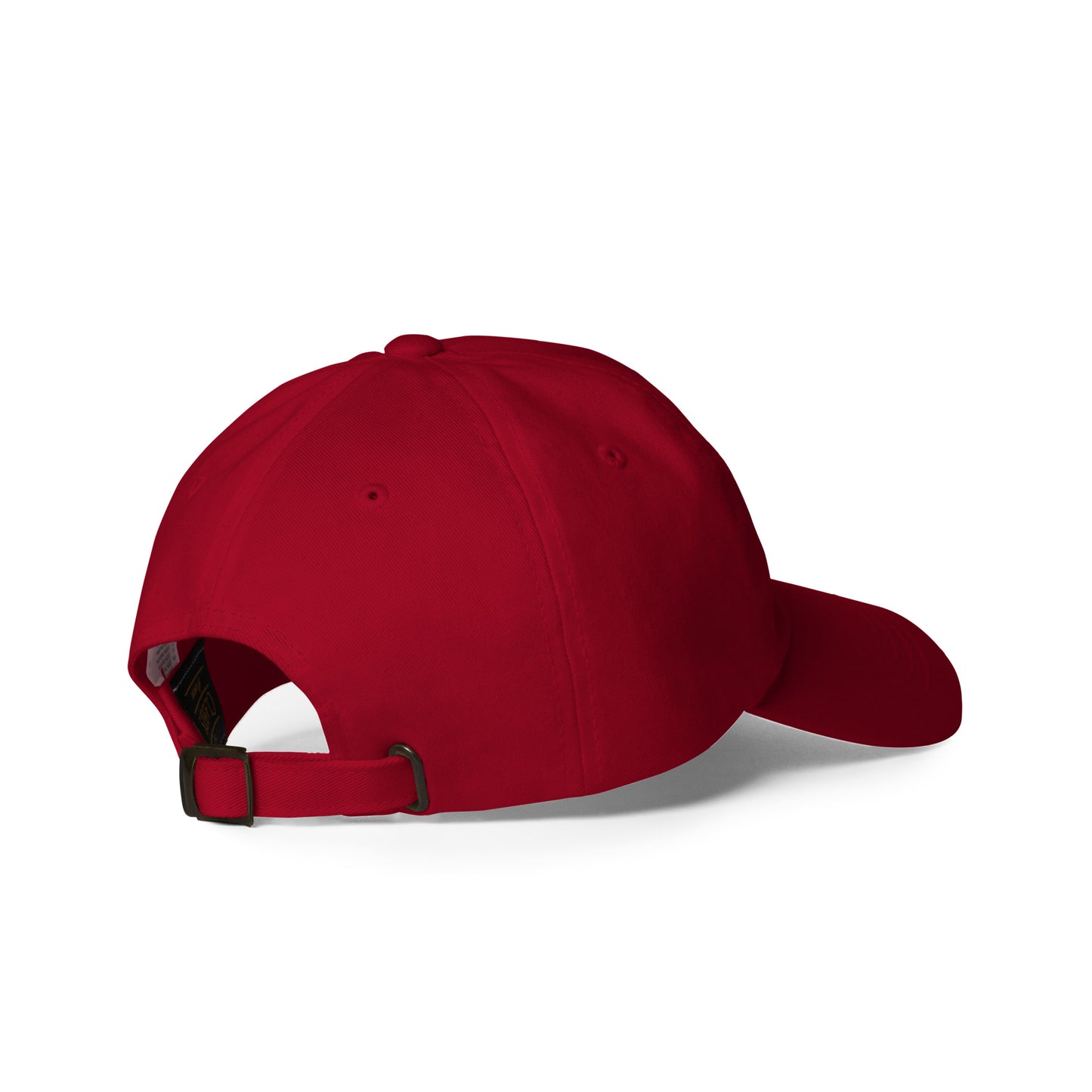 Curved Brim Embroidered Hat