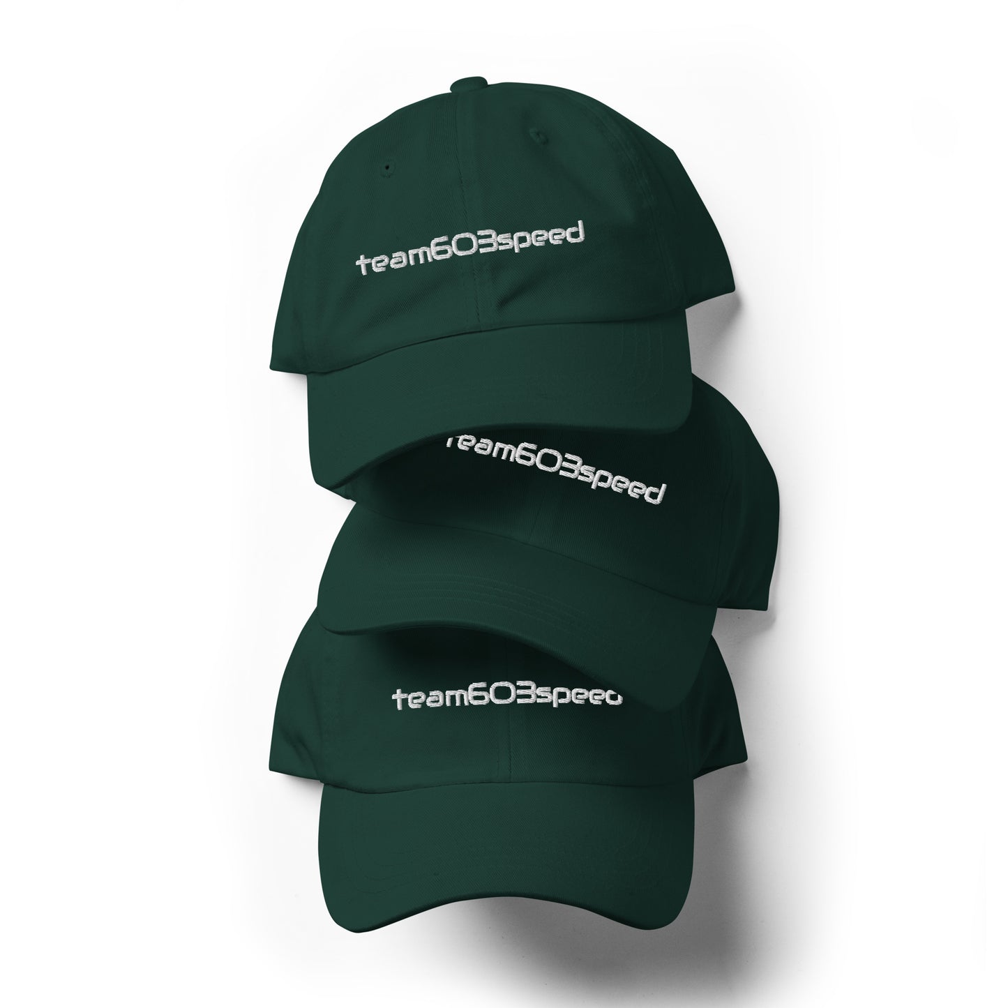Curved Brim Embroidered Hat