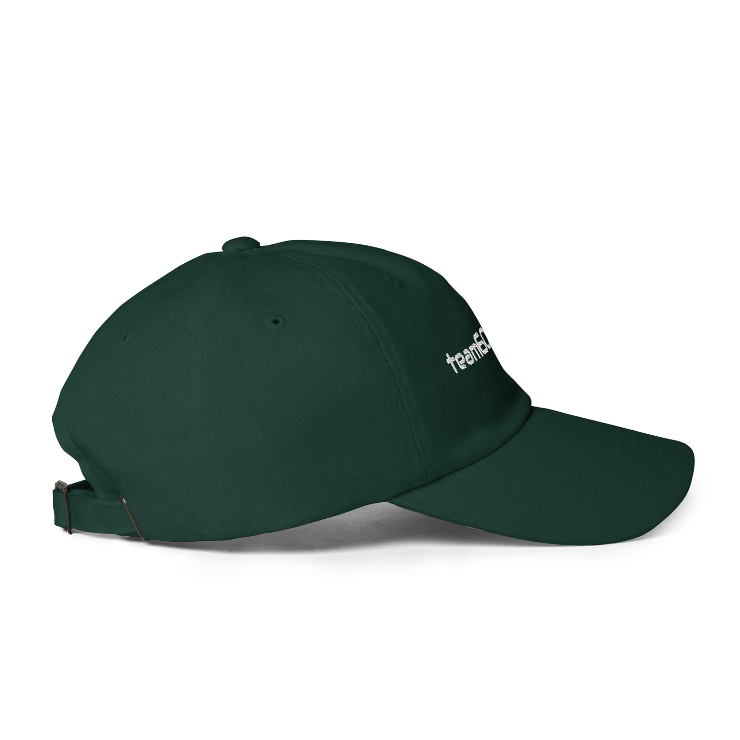 Curved Brim Embroidered Hat