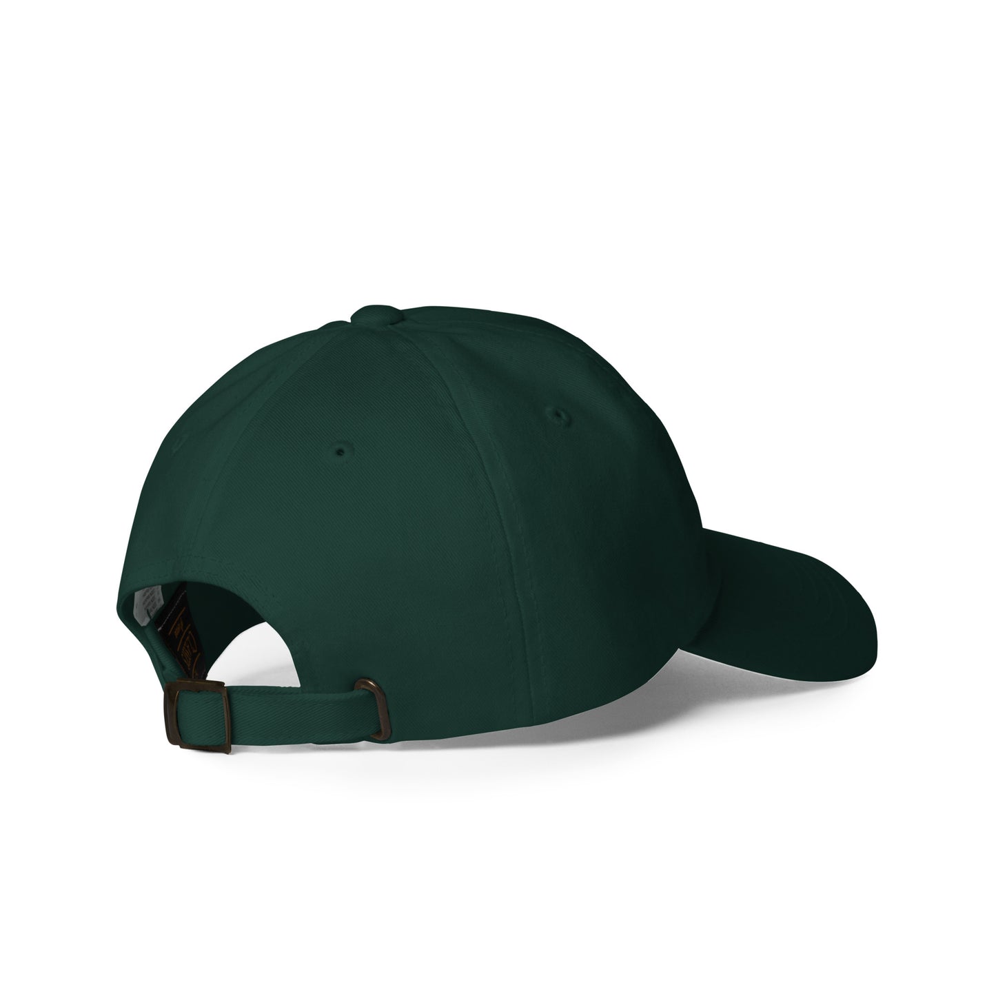 Curved Brim Embroidered Hat